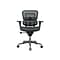 Raynor Low Back Mesh Task Chair, Black (ME8ERGLO(N))