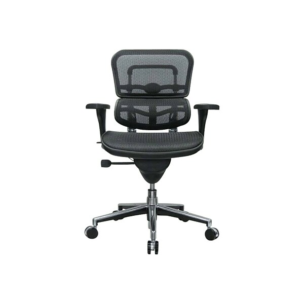 Raynor Low Back Mesh Task Chair, Black (ME8ERGLO(N))