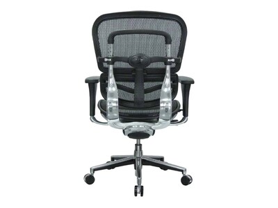 Raynor Low Back Mesh Task Chair, Black (ME8ERGLO(N))