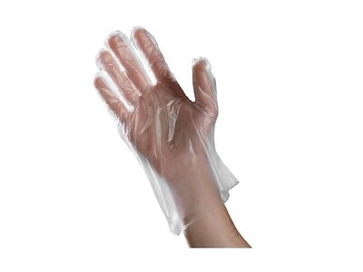 Ambitex P6505 Series Polyethylene Disposable Gloves, L, Clear, 500/Box (PLG6505)