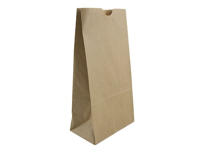 JAM Paper Kraft Lunch Bags, 8 x 4.25 x 2.25, Brown, 500/Pack (690KRBRB)