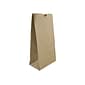 JAM Paper Kraft Lunch Bags, 8" x 4.25" x 2.25", Brown, 500/Pack (690KRBRB)