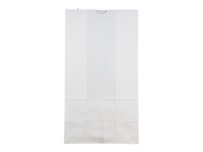 JAM Paper Lunch Bags, White, 25/Pack (692KRWH)