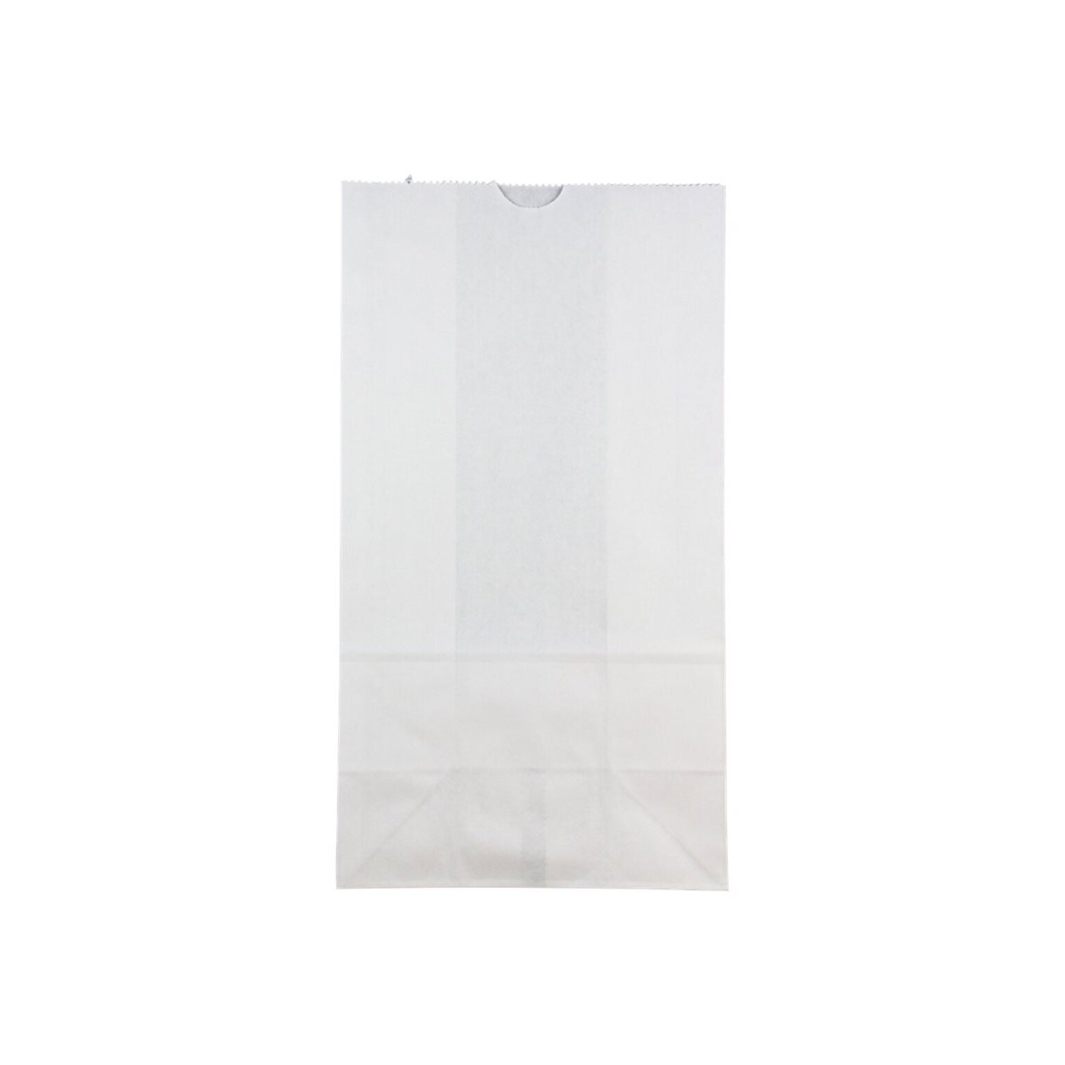 JAM Paper Lunch Bags, White, 25/Pack (692KRWH)