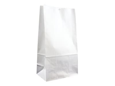JAM Paper Lunch Bags, White, 25/Pack (692KRWH)