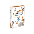 Hammermill Fore 8.27 x 11.69 A-4 Multipurpose Paper, 20 lbs., 96 Brightness, 500/Ream (103036)