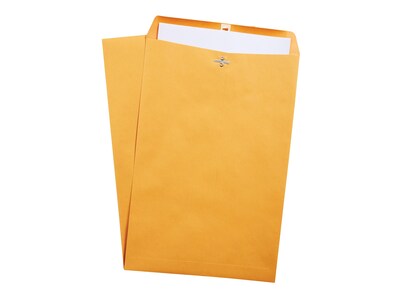 Staples Clasp Envelopes, 12" x 15-1/2", Brown Kraft, 100/Box (472902/19273)