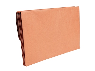 Staples Extra Large Paper Stock File Pocket, 3.25 Expansion, 11.97 x 18 Size, Brown, 2/Pack (1060