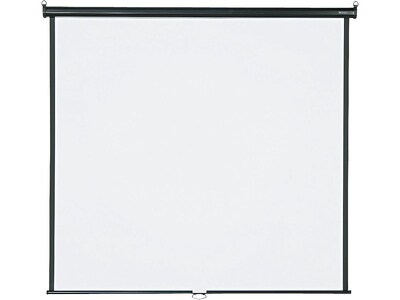 Quartet 670S Wall/ceiling Projection Screen 99