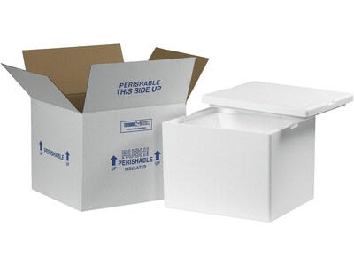 12" x 10" x 9" Insulated Shipping Containers, Standard, White (229C)
