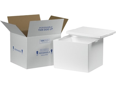 12" x 10" x 9" Insulated Shipping Containers, Standard, White (229C)