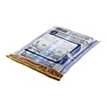 TripLok Series E Deposit Bags, Clear 50/Pack (585048)
