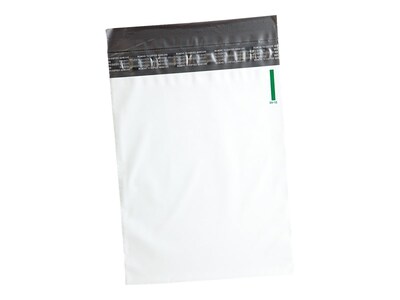 Quality Park Night Deposit Bags, Opaque White, 100/Box (QUA45224)
