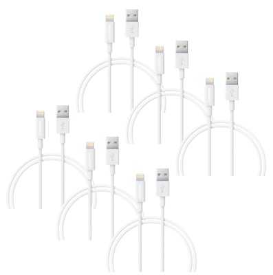 Delton Lightning USB Cable for All iPhones, White (CE14550A)