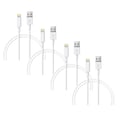 Delton Lightning USB Cable for All iPhones, White (CE14548A)