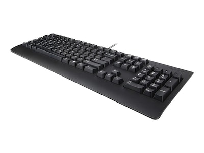 Lenovo Preferred Pro II Wired Keyboard, Black (4X30M86879)