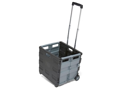 ECR4kids MemoryStor 16H x 17W Plastic Cart, Black/Gray, Each (ELR-0547B)