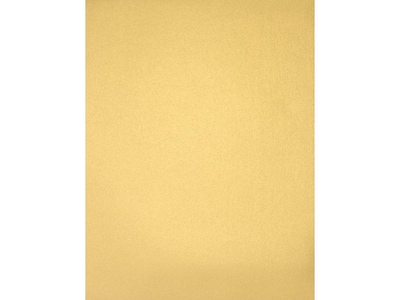  65lb Cover Cardstock Paper - 8.5 x 11 inch - 25 Sheets  (Holiday Red) : Office Products