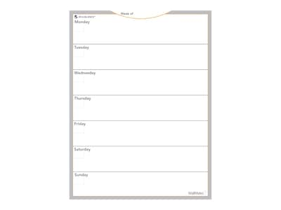 AT-A-GLANCE WallMates Standard Dry-Erase Planning Board, 24H x 18W (AW503028)