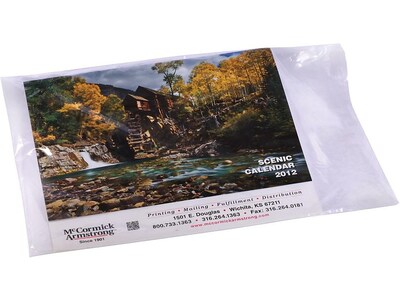 12W x 26L Lay Flat Poly Bag, 2.0 Mil, 1000/Carton (29975-CC)