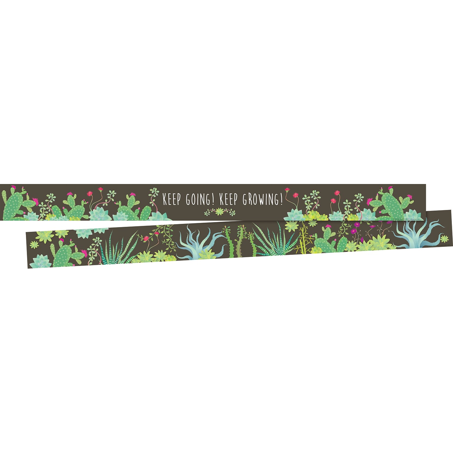 Barker Creek Double-Sided Border, 35 x 3, Prickles, 12/Pack (BC934)