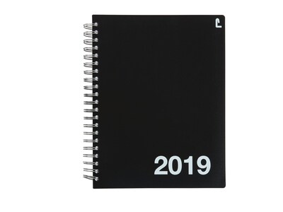 2019 Staples 11H x 8W Appointment Book, Black (21487-19)