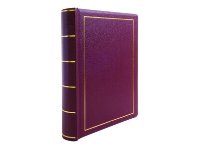 Wilson Jones Minute Record Book, 9.3W x 11.6H x 1.7D, Red (W0396-11)