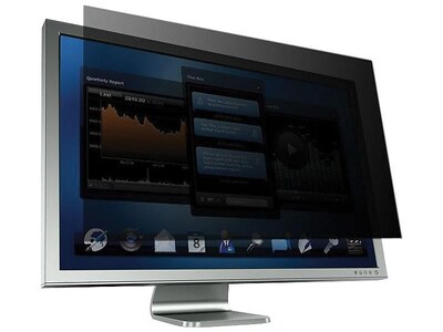 3M Anti-Glare Privacy Filter for 21.5" Widescreen Monitor, 16:9 Aspect Ratio (PF215W9B)