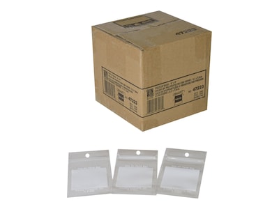 2 x 3 Reclosable Poly Bags, Clear, 1000/Carton (47223)