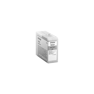 Epson T850 Light Black Standard Yield Ink Cartridge