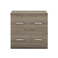 Exeter Office Pro 2-Drawer Lateral File Cabinet, Letter/Legal, Salinas Oak, 30W (9546333COM)