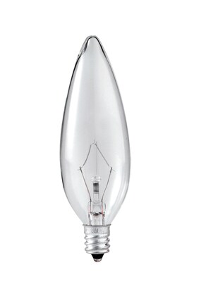 Philips Incandescent Clear B10.5 25 Watt Bulb, Pack of 12 (168245)