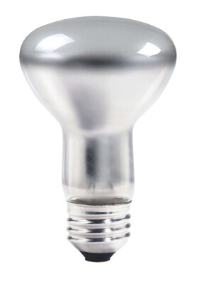 Philips Incandescent R20 45 Watt Bulb, Pack of 12 (475953)