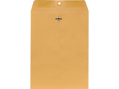 Quill Brand Clasp #10 Catalog Envelope, 9" x 12", Brown, 250/Box (3016411)