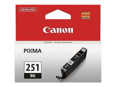 Canon 251 Black Standard Yield Ink Cartridge  (6513B001)