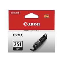 Canon 251 Black Standard Yield Ink Cartridge  (6513B001)