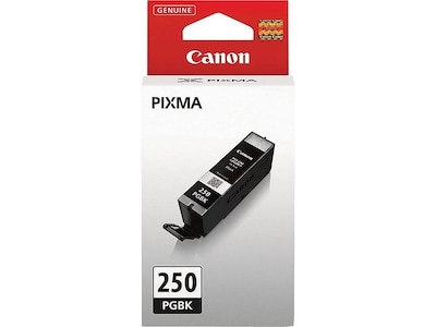 Canon 250 Black Standard Yield Ink Cartridge (6497B001)