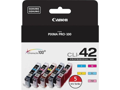 Canon 42 Cyan/Magenta/Yellow/Photo Cyan/Photo Magenta Ink Cartridge, 5/Pack (6385B010)