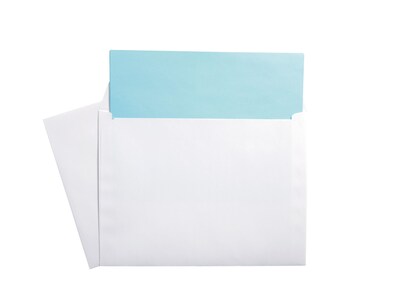 Staples® Wove Side-Opening Booklet Envelopes; 9" x 12", White, 100/Box (473009/19307)