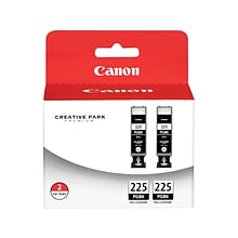 Canon 225 Black Standard Yield Ink Cartridge, 2/Pack (4530B007)