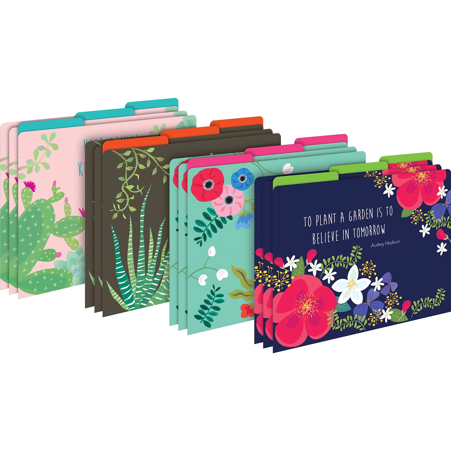 Barker Creek Petals & Prickles File Folders, 1/3 Cut Letter-Size Multi-Design, Fashion, 12/Pack (BC1306)
