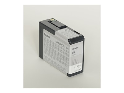 Epson T580 Ultrachrome Light Black Standard Yield Ink Cartridge