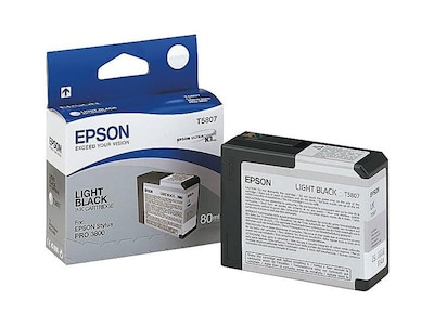 Epson T580 Ultrachrome Light Black Standard Yield Ink Cartridge