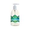 Seventh Generation Free & Clean Liquid Soap, 12 Oz. (22930)