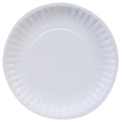 Dixie Basic Light-Weight Paper Plate by GP PRO, 6, White, 100/Pack (DBP06W)
