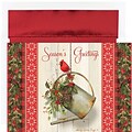 JAM Paper® Christmas Card Set, Garden Cardinal Holiday Cards, 18/pack