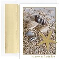 JAM Paper® Christmas Card Set, Shells in Sand Holiday Cards, 18/pack