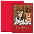 JAM Paper® Christmas Card Set, Meowy Christmas, Cats Holiday Cards, 18/pack