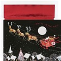 JAM Paper® Christmas Card Set, Santa Sleigh Holiday Cards, 16/pack