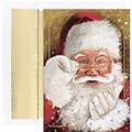 JAM Paper® Christmas Cards Set, Sparkling Santa, 18/Pack (526882800)